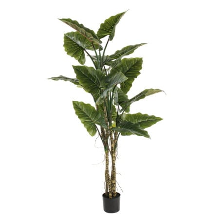 Anthurium géant artificiel, 71