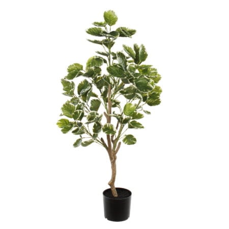 Aralia de balfour panaché artificiel, 47