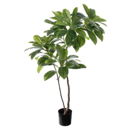 Arbre d’elaeocarpus artificiel, 66,5''