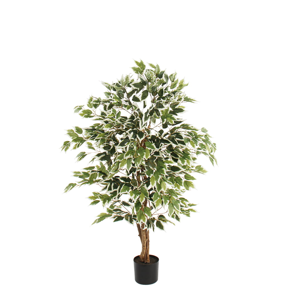 Artificial variegated ficus tree, 47'' - Décors Véronneau