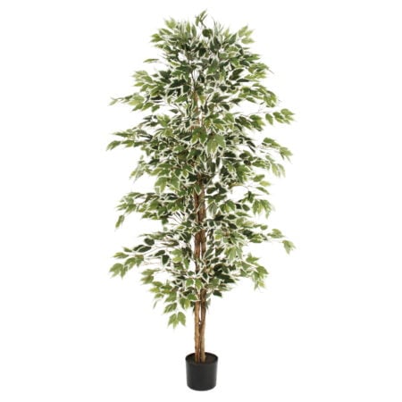 Arbre ficus panaché artificiel, 71''