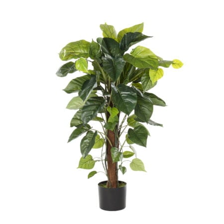 Arbre pothos artificiel, 39