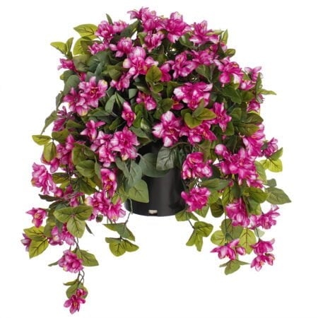 Potted pale pink azalea, 28 x 20