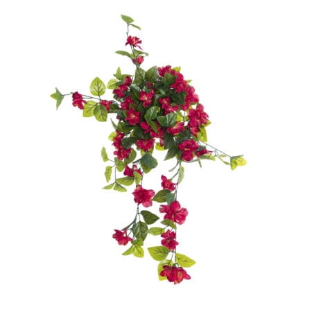 Pink outdoor hanging azalea, 29