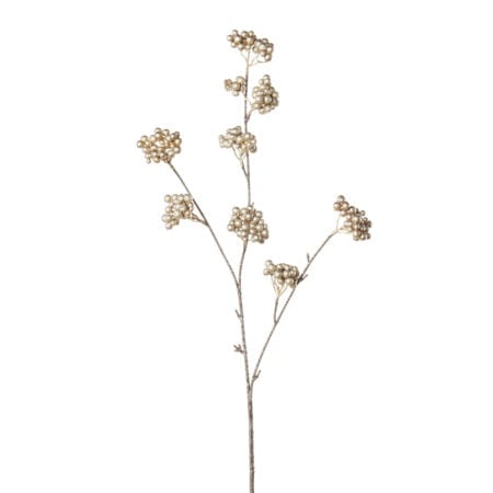 Champagne berry cluster, 32