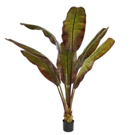 Bananier rouge artificiel, 75