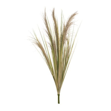 Bouquet de pampas, 48