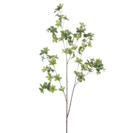 Artificial pittosporum leaf branch, 49