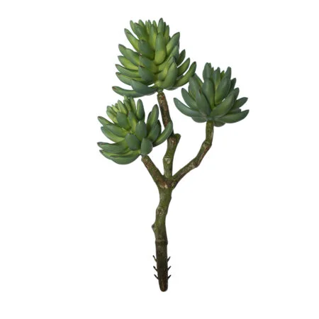 Branche de succulentes vertes artificielles, 12