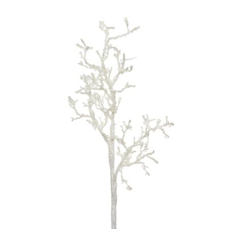 Branche glacée artificielle, 36