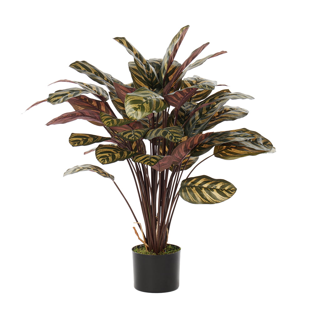 Makoyana calathea artificial plant, 30" - Décors Véronneau