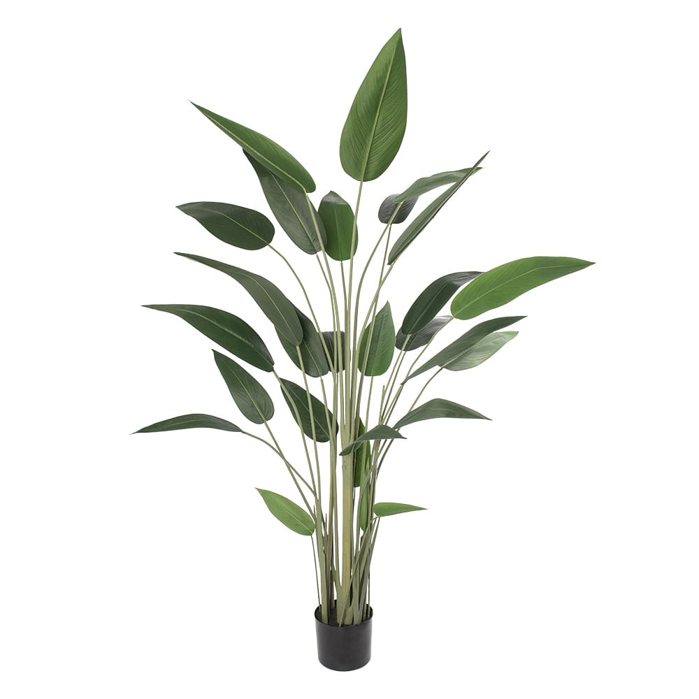 Water canna artificial plant, 66'' - Décors Véronneau