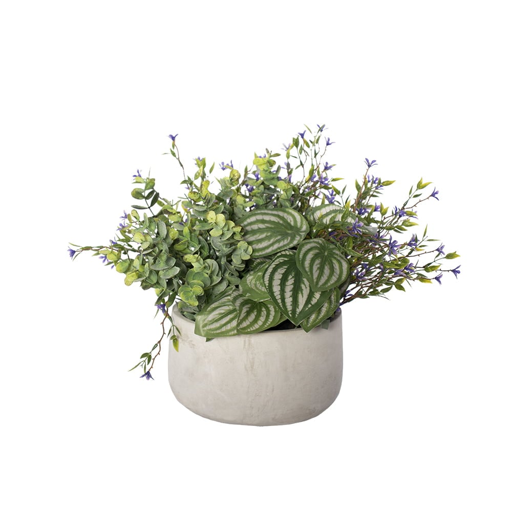 Artificial peperomia and purple outdoor flower centerpiece, 13 x 14'' - Décors Véronneau