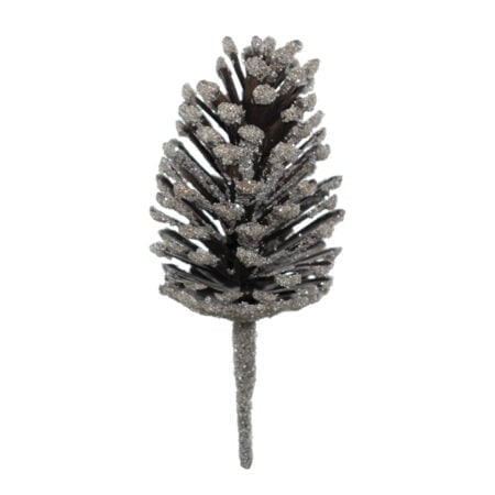 Frosty pinecone, 13