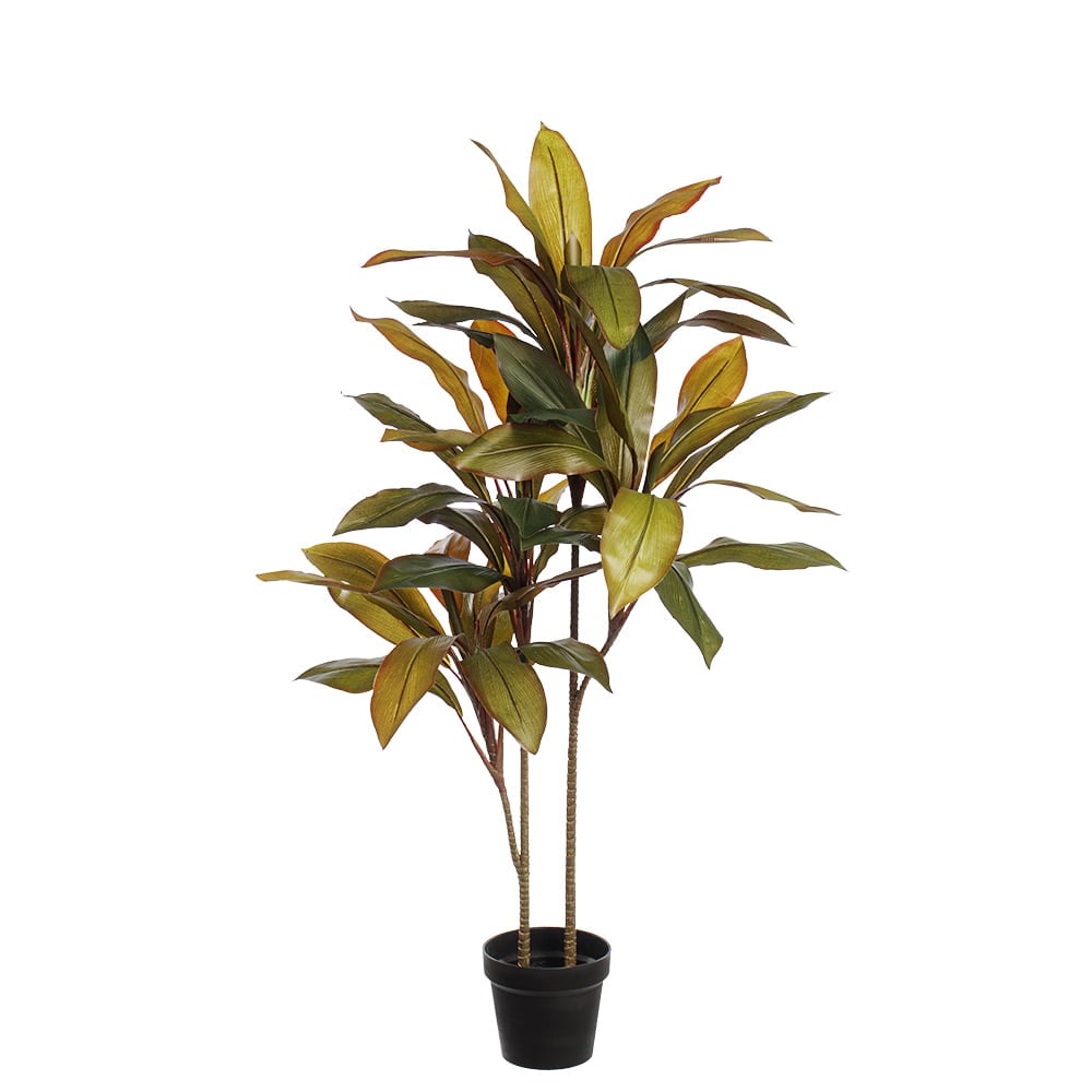 Plante artificielle cordyline fructicosa - Décors Véronneau