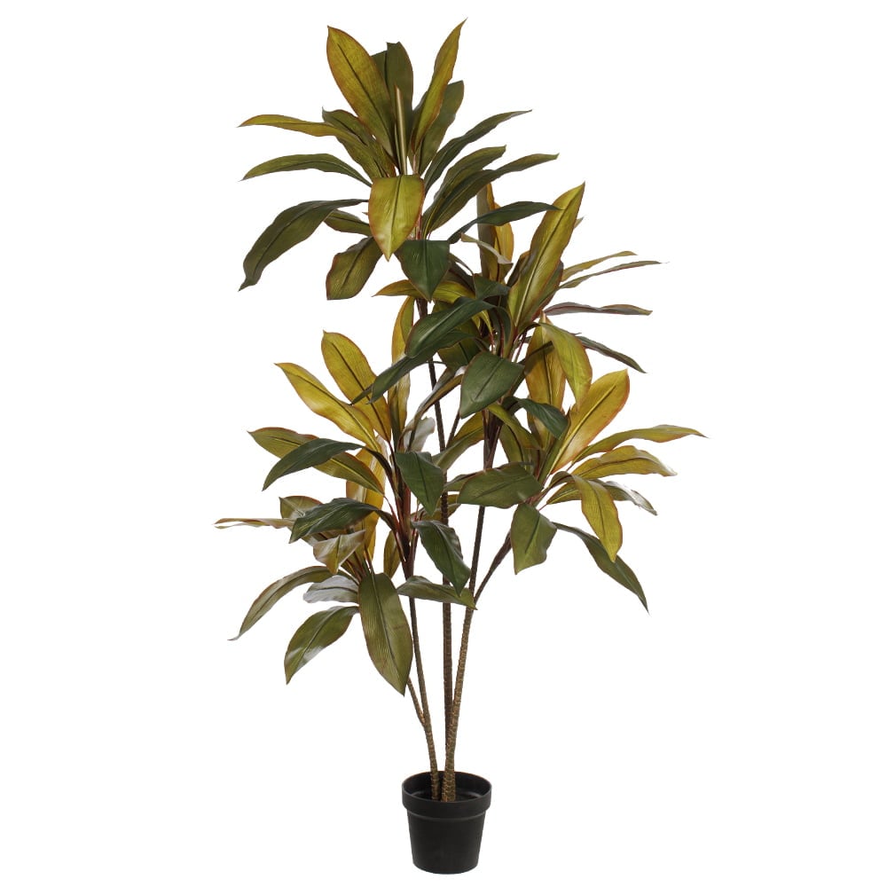 Plante artificielle cordyline fructicosa - Décors Véronneau