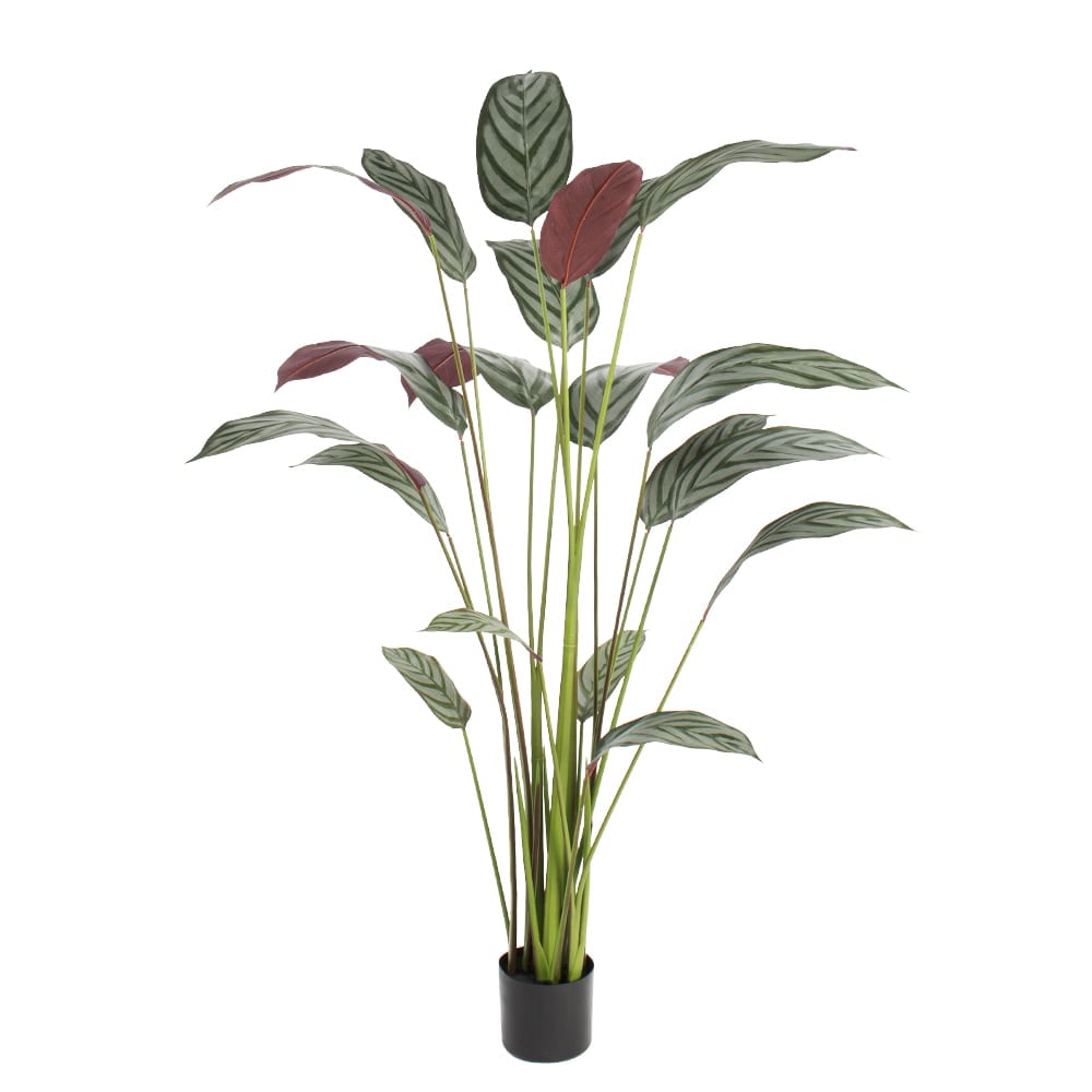 Plante artificielle cténante - Décors Véronneau