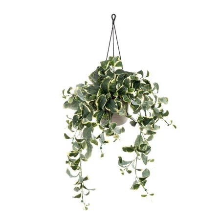 Artificial euonymus plant hanging planter