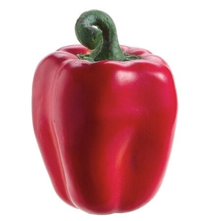 Faux piment rouge, 3,5