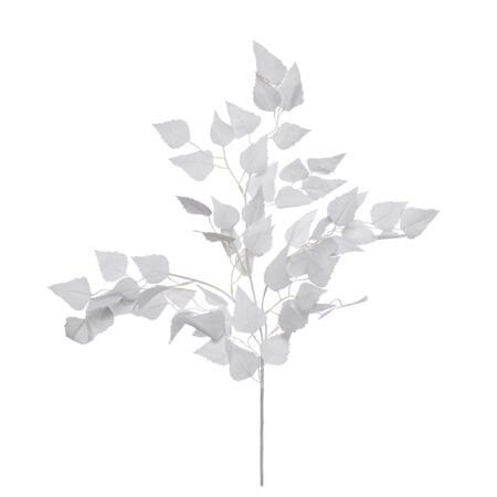 Feuillage de bouleau sur tige, 22