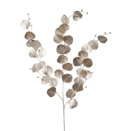 Champagne eucalyptus foliage, 31