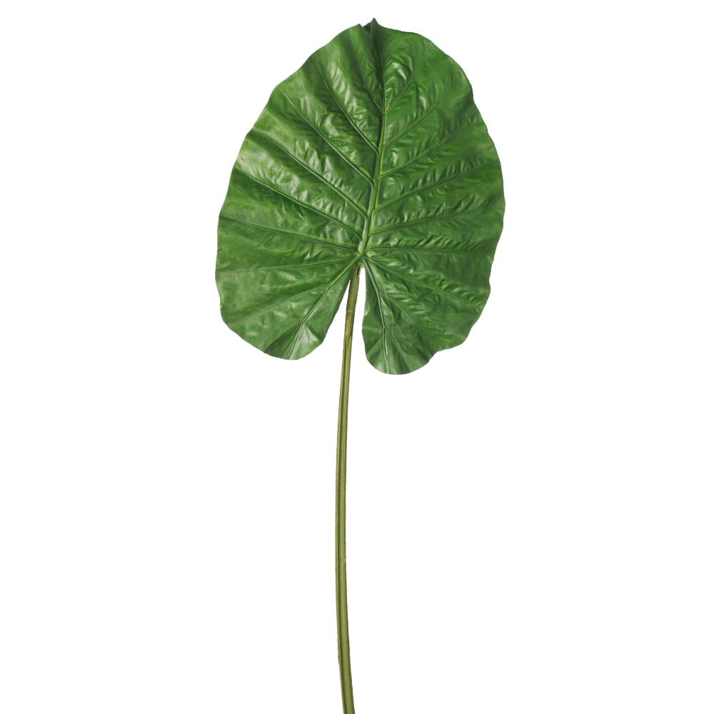 Feuille d'alocasia géante artificielle, 44" - Décors Véronneau