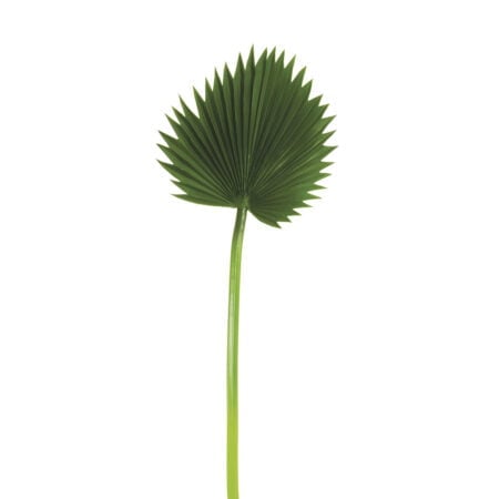 Feuille de palmier artificiel,  37