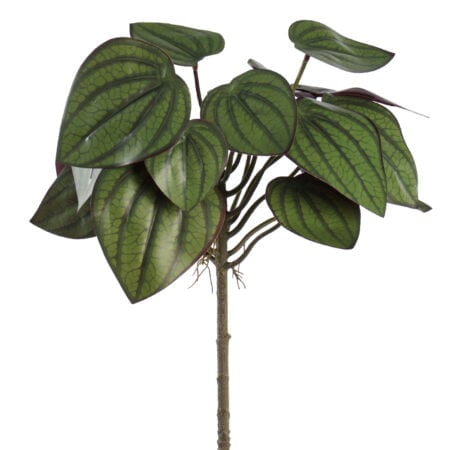 Fittonia vert et bourgogne artificiel, 14