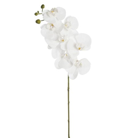 Artificial white butterfly orchid flower, 34
