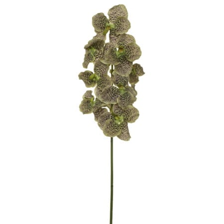 Artificial green and pink vanda orchid flower, 32