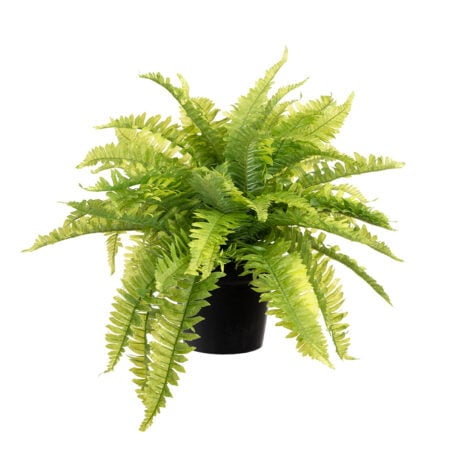 Potted artificial fern plant, 18 x 21