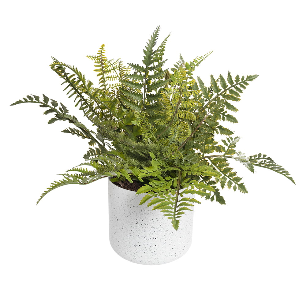 Artificial outdoor fern plant Décors Véronneau