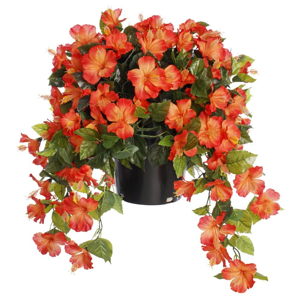Hibiscus orange en pot de culture noir, 28 x 20" - Décors Véronneau
