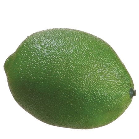 Lime artificielle, 2,5''
