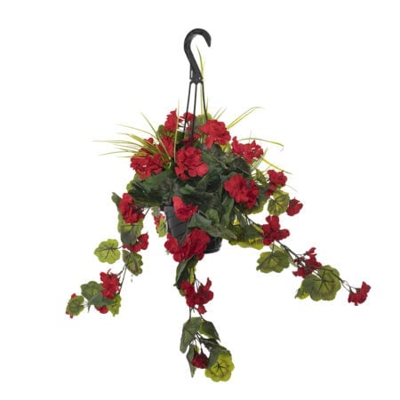 Outdoor hanging planter of red geranium, 18 x 16