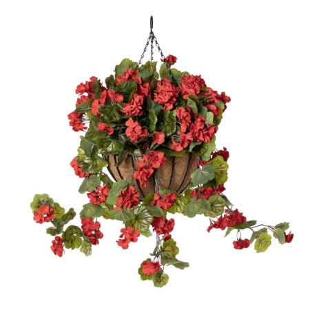 Red geranium outdoor hanging flower basket, 24 x 22