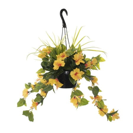Outdoor hanging planter of yellow hibiscus, 18 x 16