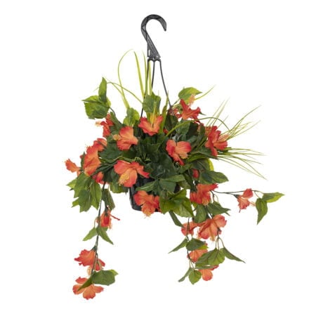 Outdoor hanging planter of orange hibiscus, 18 x 16