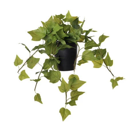 Artificial ivy in black ceramic pot