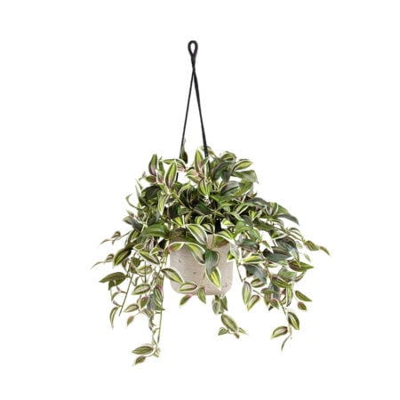 Artificial tradescantia hanging planter, 28 x 14