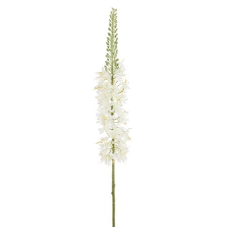 Molène blanche artificielle, 38