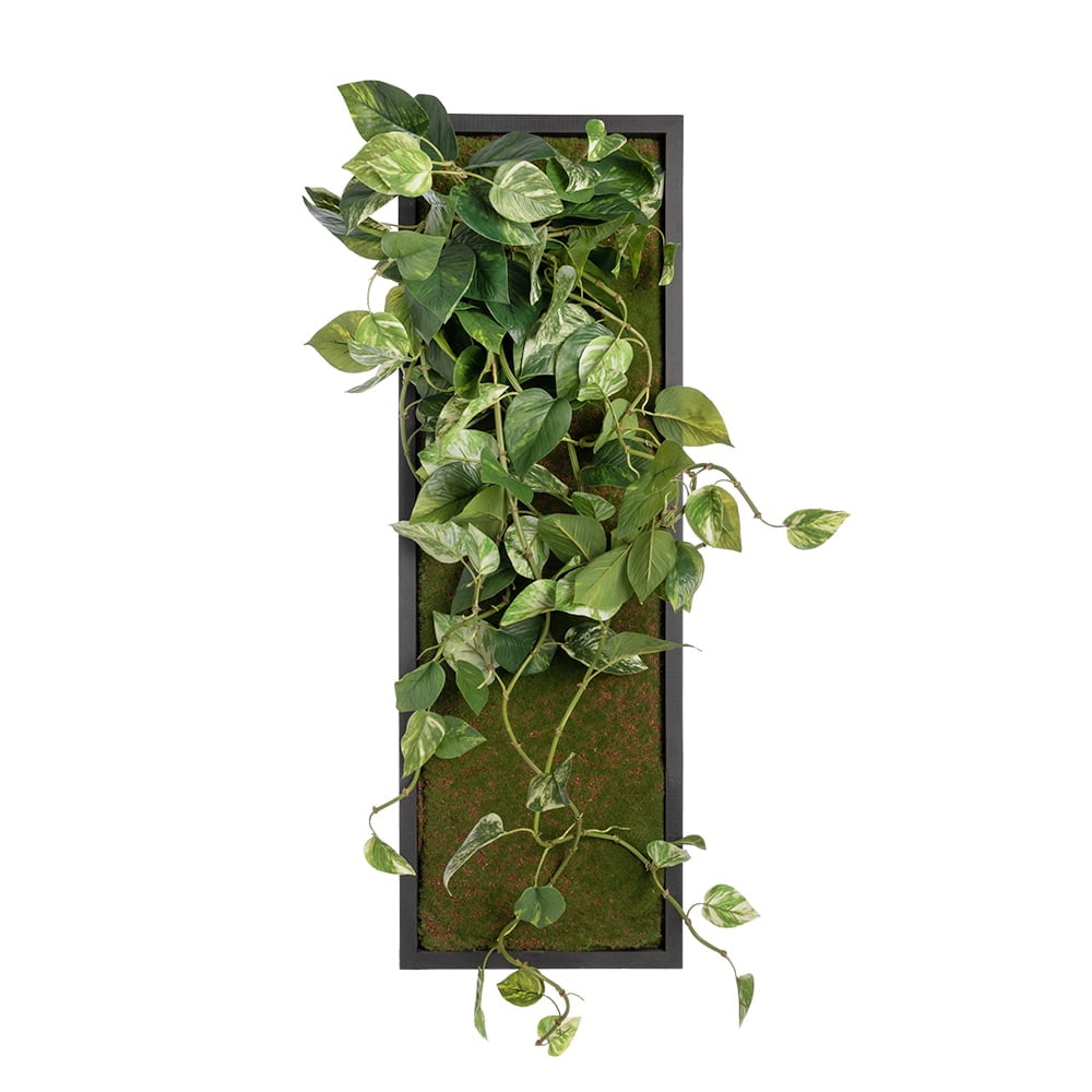 Hanging pothos vertical green wall Décors Véronneau