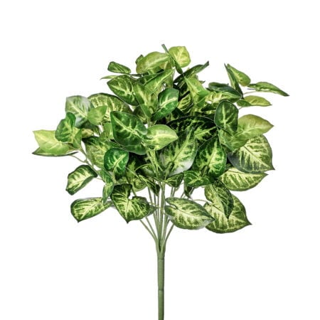 Outdoor artificial nephthytis plant, 17