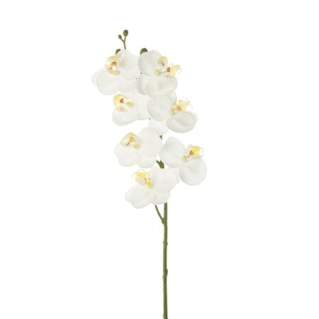 Orchidée phalaenopsis blanche artificielle, 24