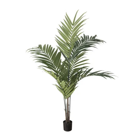 Palmier kentia artificiel, 84