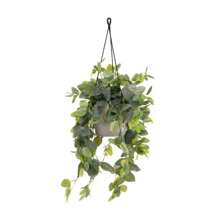 Fittonia artificiel en pot suspendu, 37 x 15