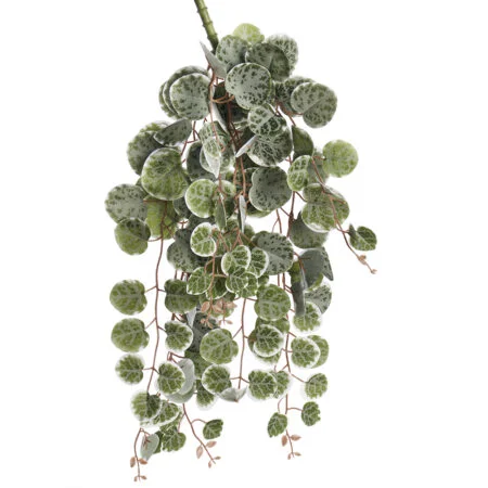 Artificial variegated peperomia trailing plant, 18