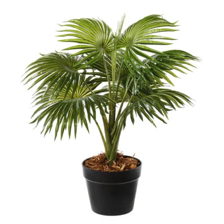 Plante artificielle petit palmier éventail en pot