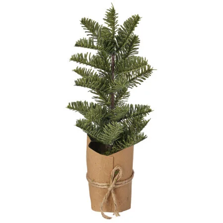 Petit sapin noble en pot de papier kraft, 12,5