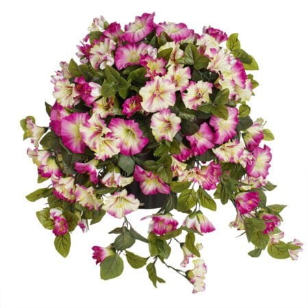 Potted petunia, 28 x 20